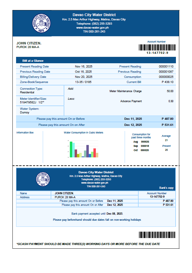 Philippines Davao City Water District utility bill template in Word and PDF formats